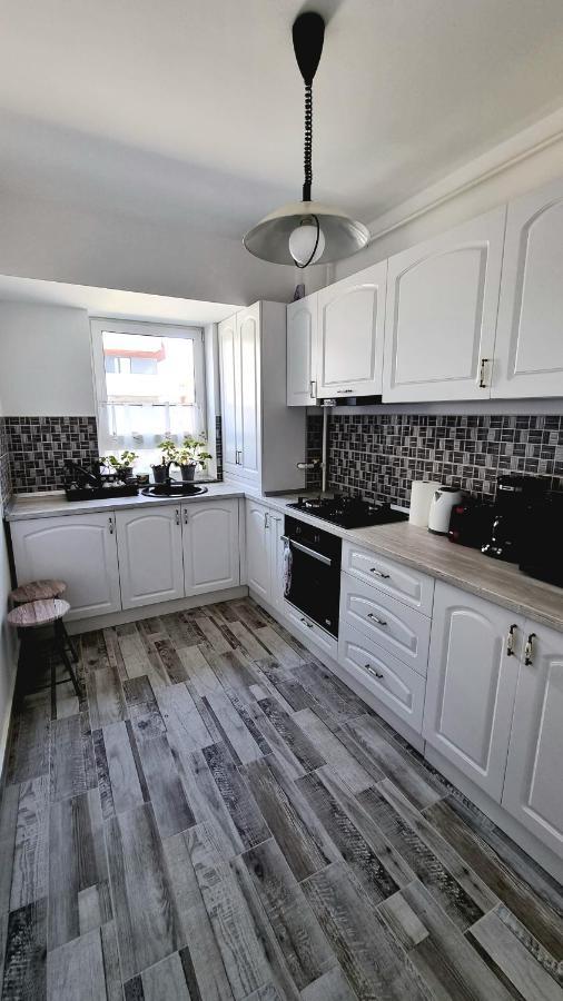 Swan Brasov Apartment Zewnętrze zdjęcie