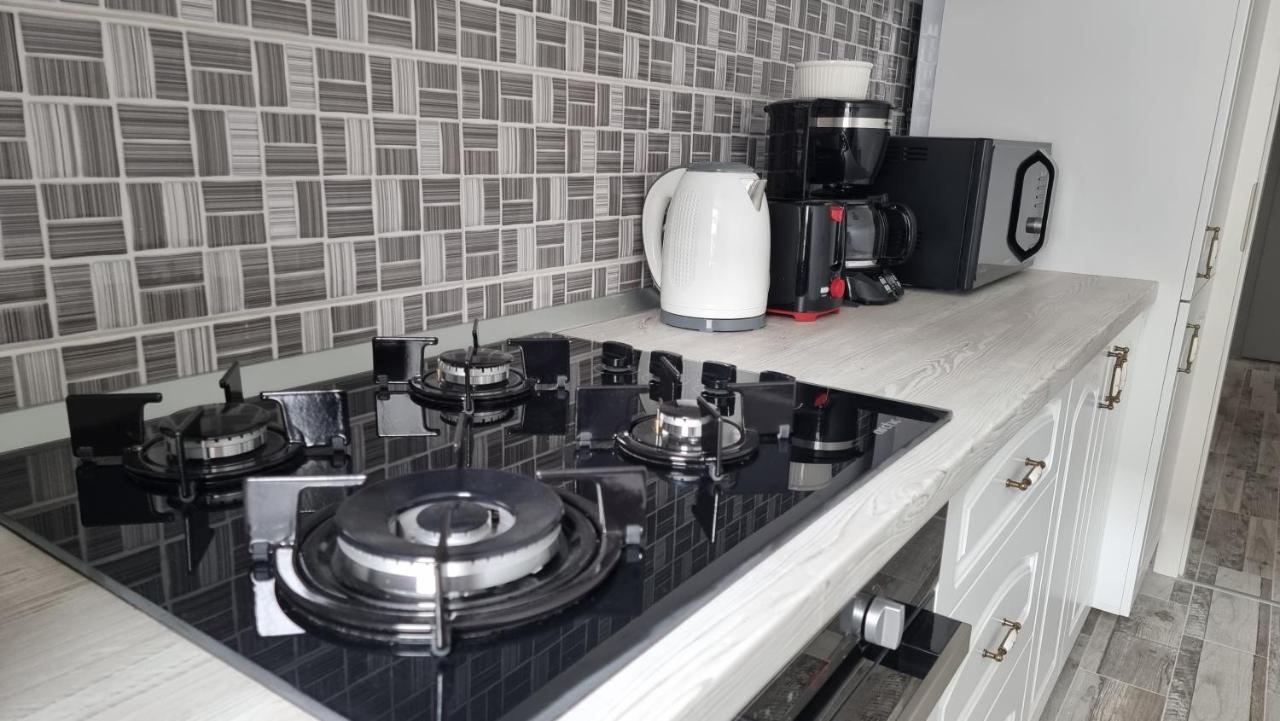 Swan Brasov Apartment Zewnętrze zdjęcie